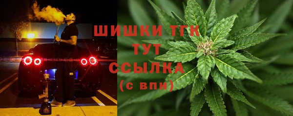 СК Алзамай