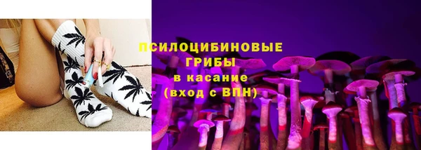 СК Алзамай