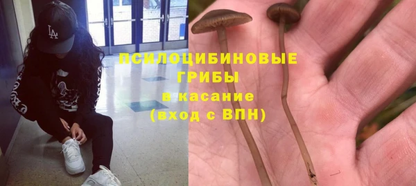 ПСИЛОЦИБИНОВЫЕ ГРИБЫ Алексеевка